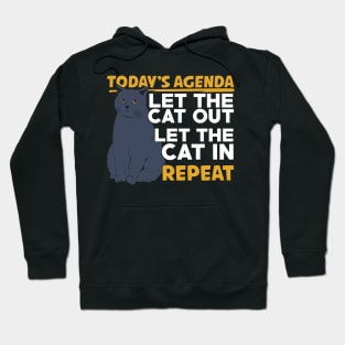 Funny British Blue Shorthair Cat Lover Gift Hoodie